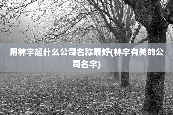 用林字起什么公司名称最好(林字有关的公司名字)