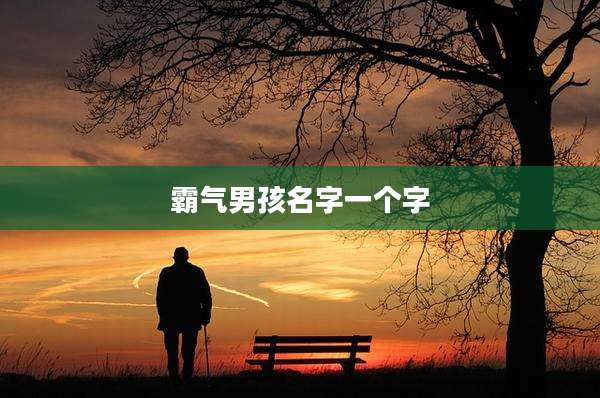 霸气男孩名字一个字