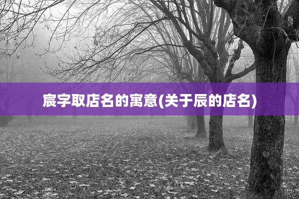 宸字取店名的寓意(关于辰的店名)