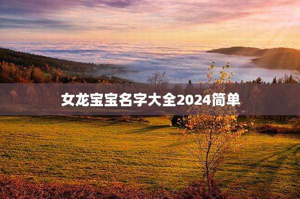 女龙宝宝名字大全2024简单