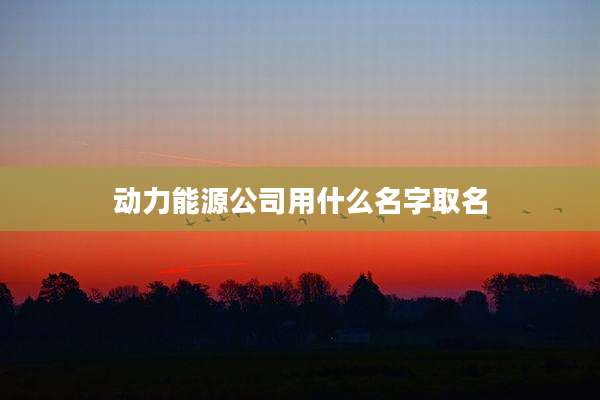 动力能源公司用什么名字取名