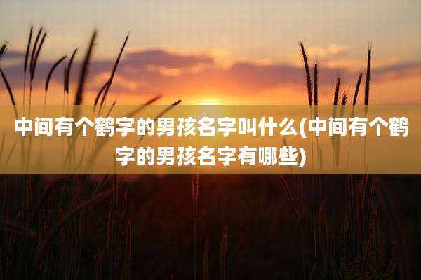 中间有个鹤字的男孩名字叫什么(中间有个鹤字的男孩名字有哪些)