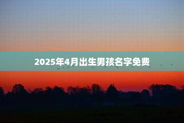 2025年4月出生男孩名字免费