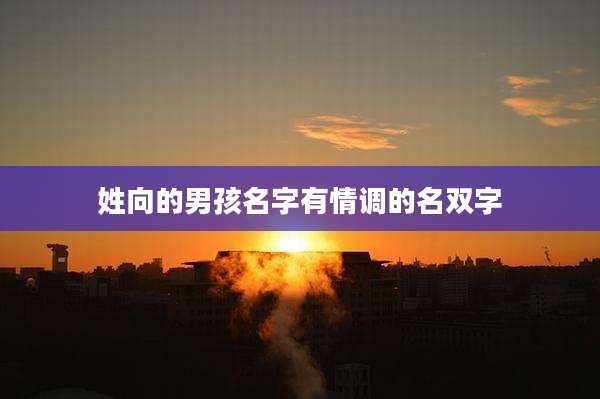姓向的男孩名字有情调的名双字
