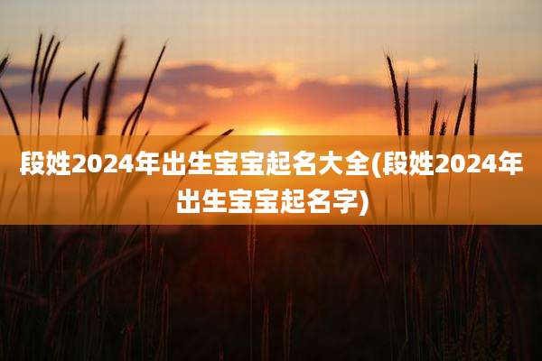 段姓2024年出生宝宝起名大全(段姓2024年出生宝宝起名字)