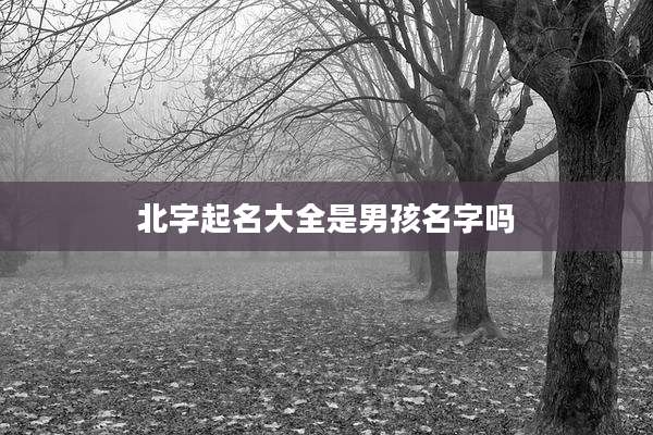 北字起名大全是男孩名字吗