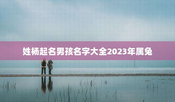 姓杨起名男孩名字大全2023年属兔