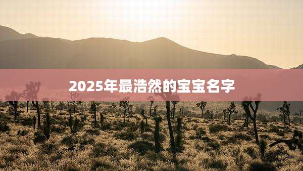 2025年最浩然的宝宝名字