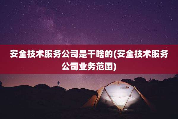 安全技术服务公司是干啥的(安全技术服务公司业务范围)