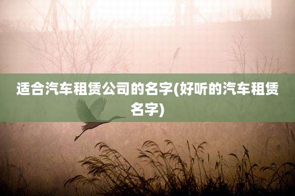 适合汽车租赁公司的名字(好听的汽车租赁名字)