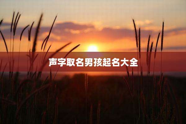 声字取名男孩起名大全