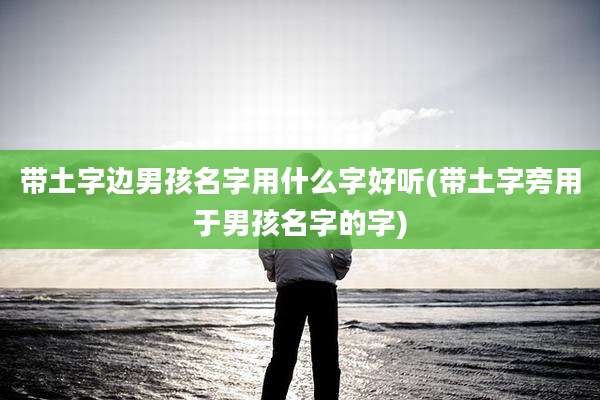 带土字边男孩名字用什么字好听(带土字旁用于男孩名字的字)