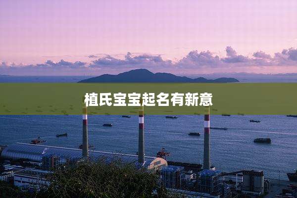 植氏宝宝起名有新意