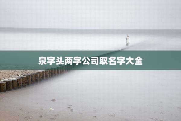泉字头两字公司取名字大全