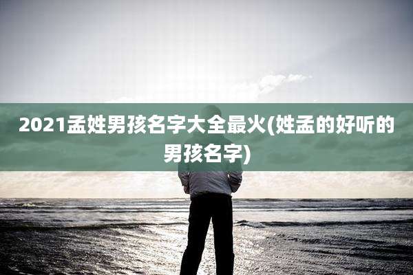 2021孟姓男孩名字大全最火(姓孟的好听的男孩名字)