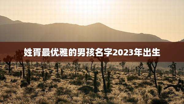 姓胥最优雅的男孩名字2023年出生