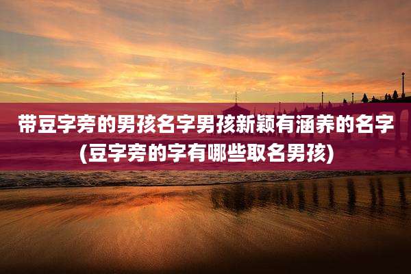 带豆字旁的男孩名字男孩新颖有涵养的名字(豆字旁的字有哪些取名男孩)