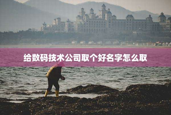 给数码技术公司取个好名字怎么取