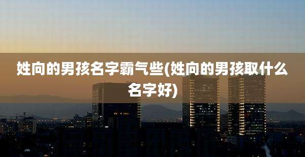 姓向的男孩名字霸气些(姓向的男孩取什么名字好)