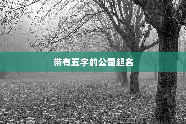 带有五字的公司起名