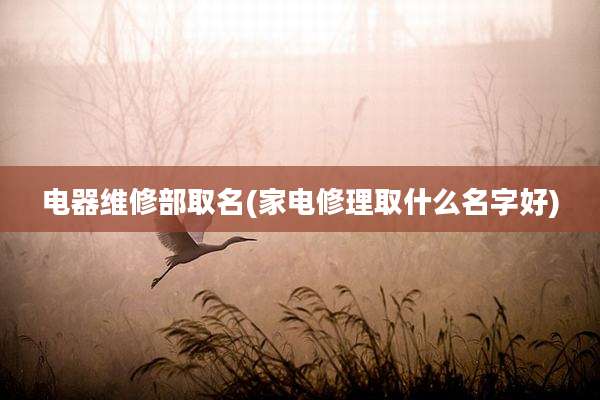 电器维修部取名(家电修理取什么名字好)