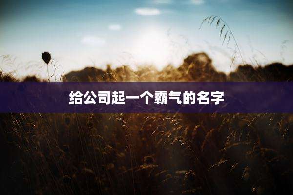 给公司起一个霸气的名字