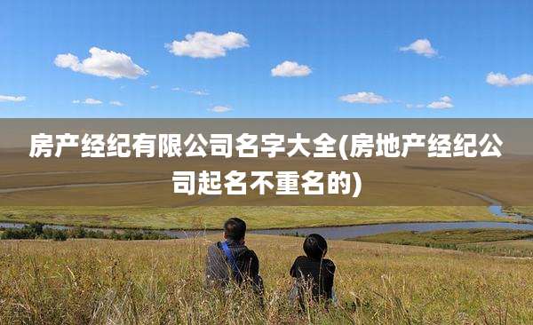 房产经纪有限公司名字大全(房地产经纪公司起名不重名的)