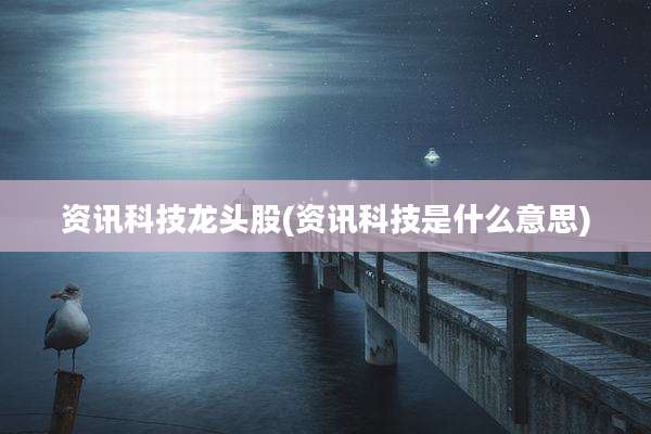 资讯科技龙头股(资讯科技是什么意思)