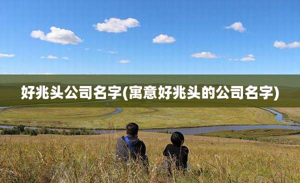 好兆头公司名字(寓意好兆头的公司名字)