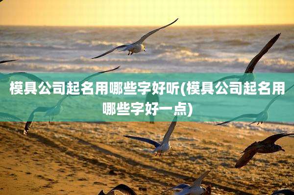 模具公司起名用哪些字好听(模具公司起名用哪些字好一点)