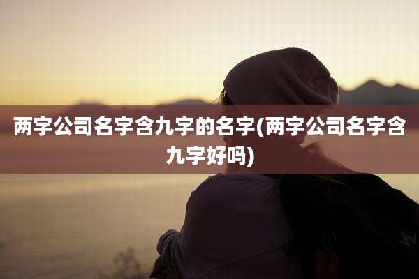 两字公司名字含九字的名字(两字公司名字含九字好吗)