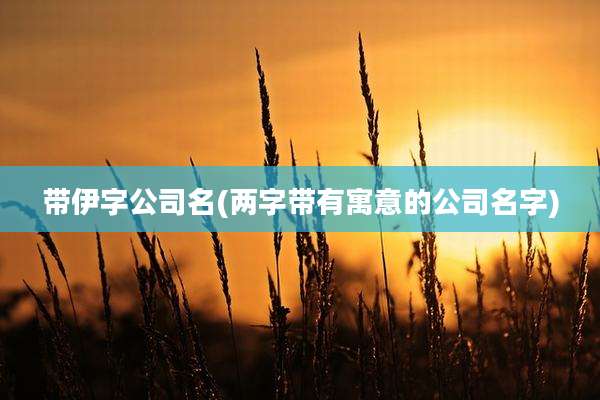带伊字公司名(两字带有寓意的公司名字)