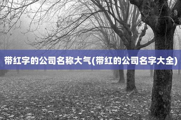 带红字的公司名称大气(带红的公司名字大全)