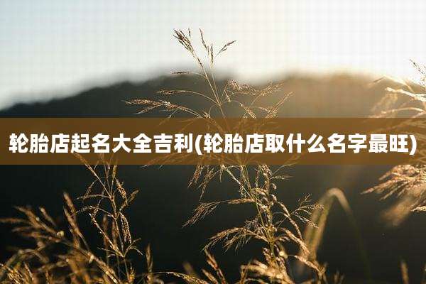 轮胎店起名大全吉利(轮胎店取什么名字最旺)