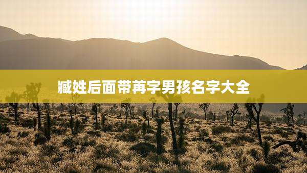 臧姓后面带苒字男孩名字大全