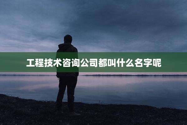 工程技术咨询公司都叫什么名字呢