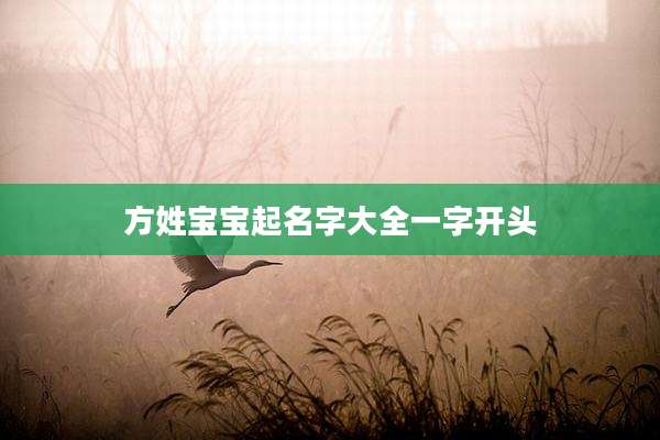 方姓宝宝起名字大全一字开头