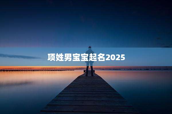 项姓男宝宝起名2025
