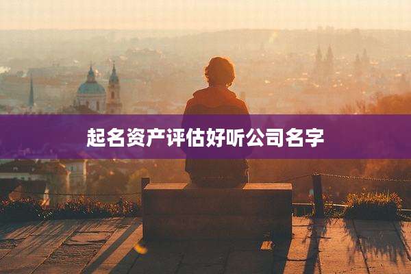 起名资产评估好听公司名字