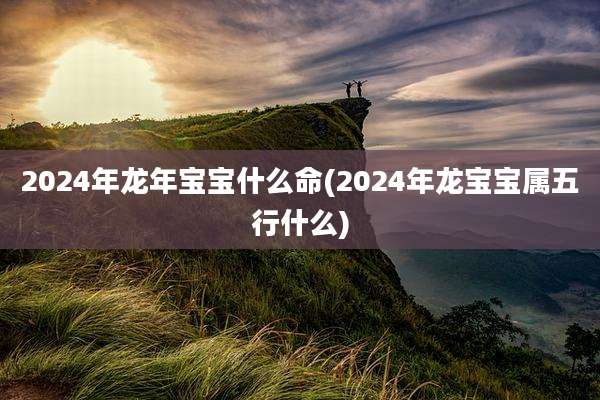 2024年龙年宝宝什么命(2024年龙宝宝属五行什么)