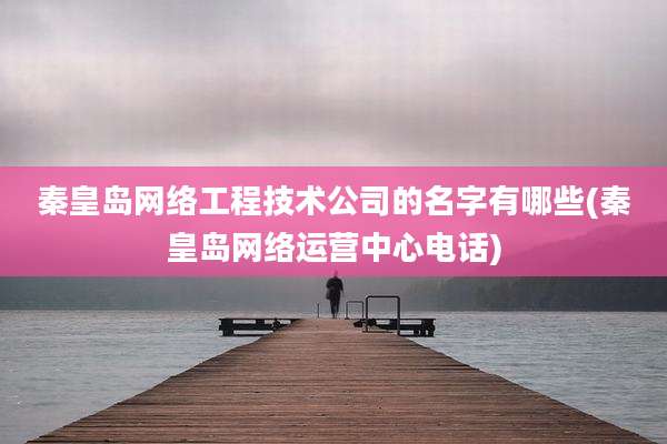 秦皇岛网络工程技术公司的名字有哪些(秦皇岛网络运营中心电话)