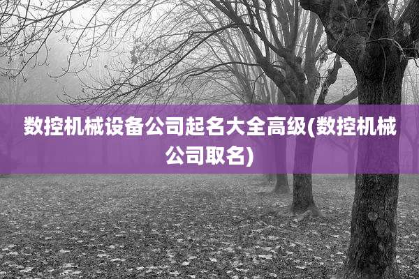 数控机械设备公司起名大全高级(数控机械公司取名)