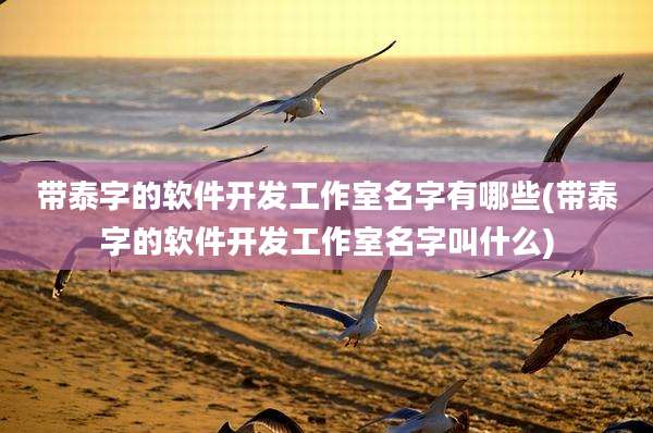 带泰字的软件开发工作室名字有哪些(带泰字的软件开发工作室名字叫什么)