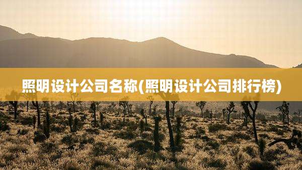 照明设计公司名称(照明设计公司排行榜)
