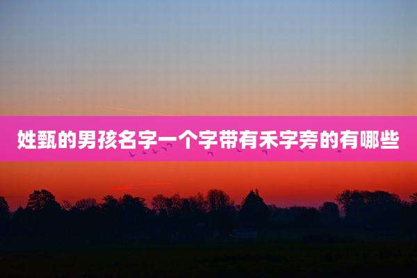 姓甄的男孩名字一个字带有禾字旁的有哪些