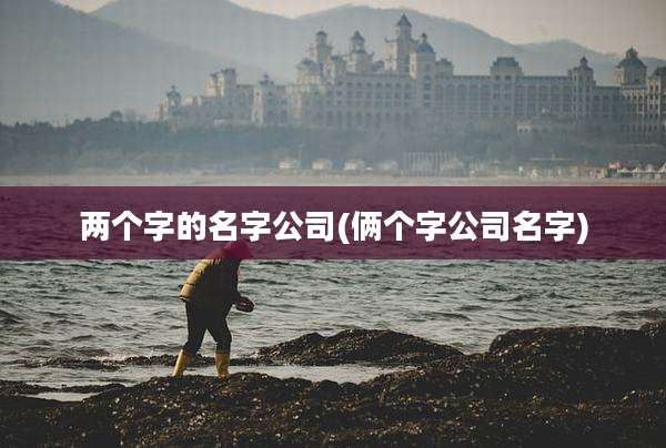 两个字的名字公司(俩个字公司名字)