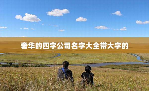 奢华的四字公司名字大全带大字的