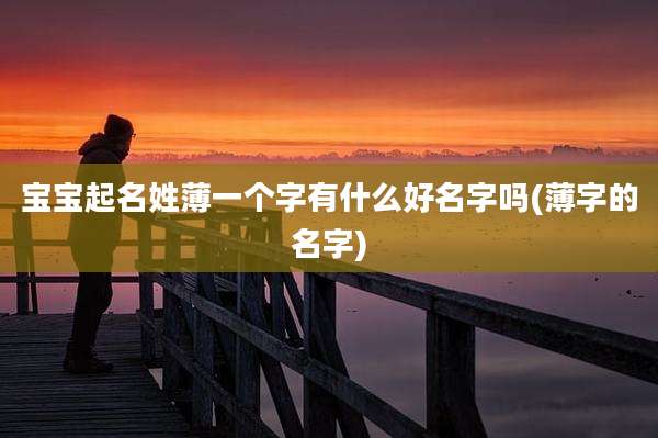 宝宝起名姓薄一个字有什么好名字吗(薄字的名字)