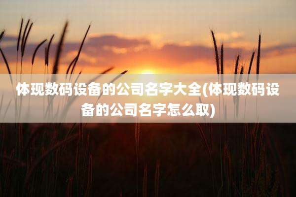 体现数码设备的公司名字大全(体现数码设备的公司名字怎么取)