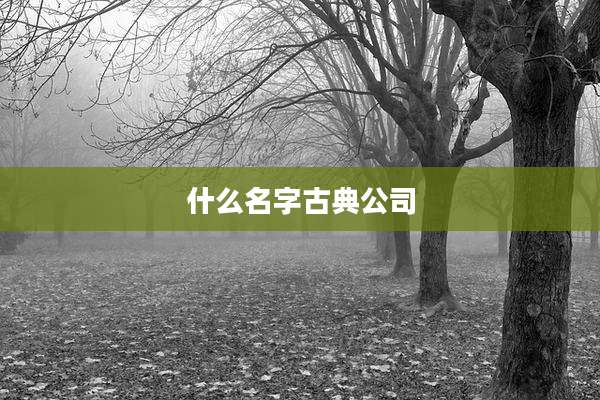 什么名字古典公司